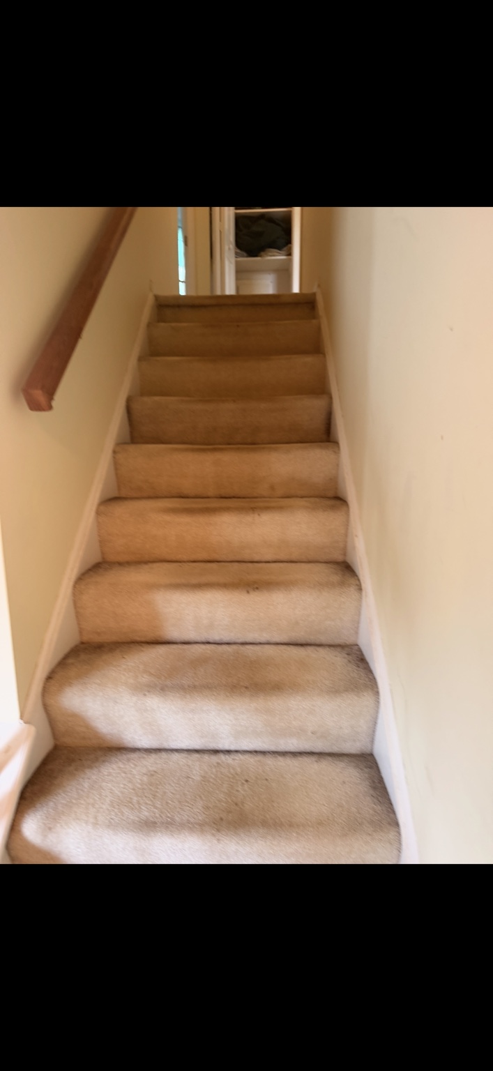 Carpeted staircase before renovation